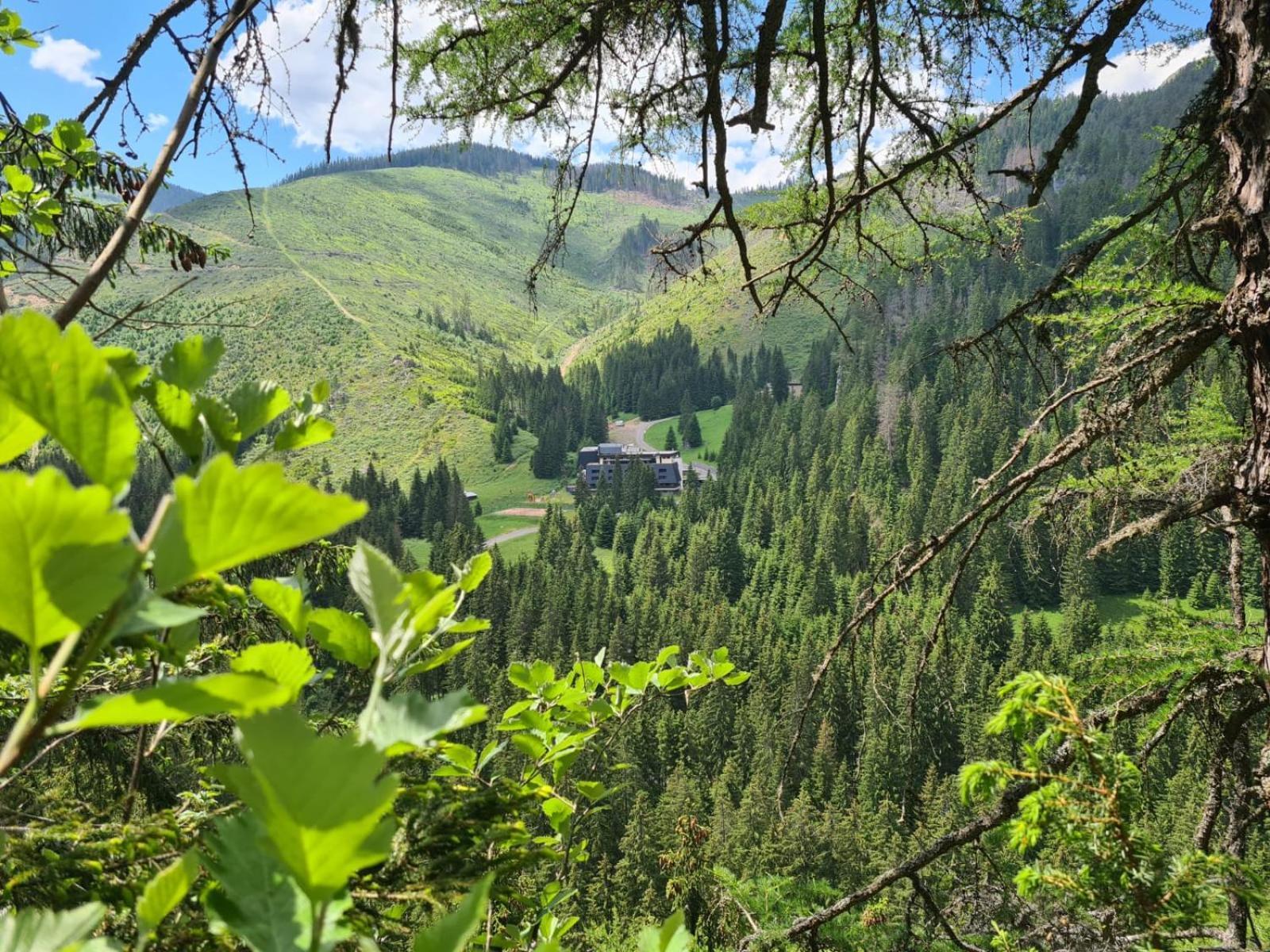 Wellness Hotel Repiska Demänovská Dolina Dış mekan fotoğraf